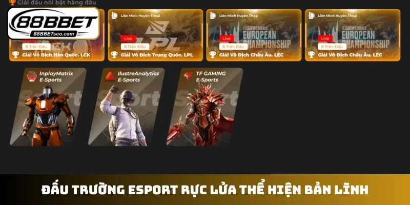 Đấu trường Esport rực lửa thể hiện bản lĩnh