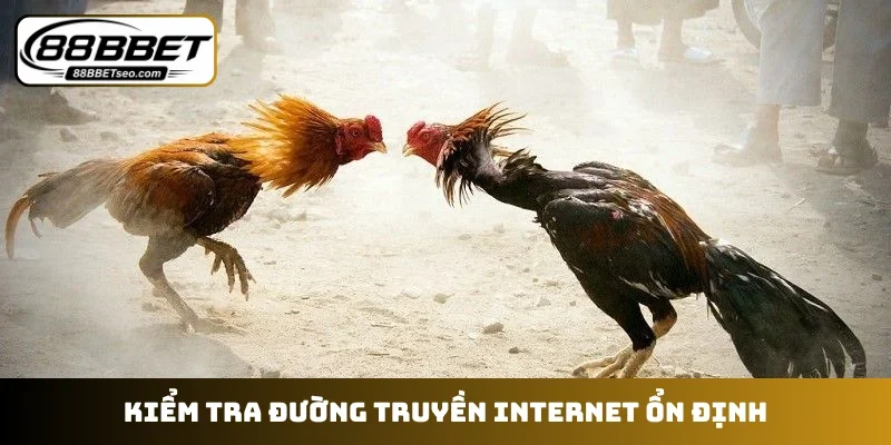 Kiểm tra đường truyền internet ổn định