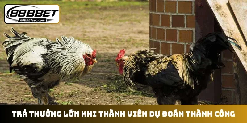 Trả thưởng lớn khi thành viên dự đoán thành công